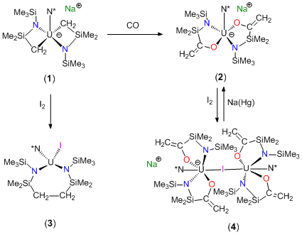 Synthesis and reactivity of U(IV) and U(V) bis(metallacycle) complexes