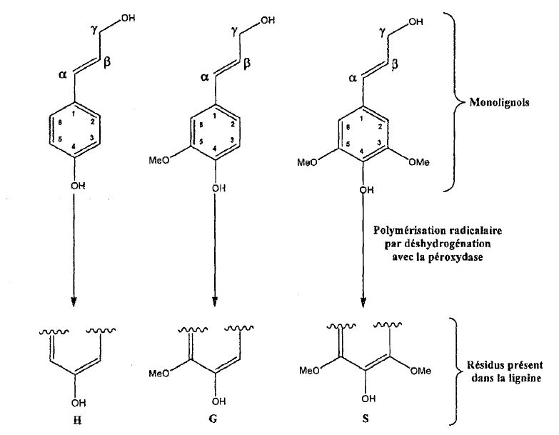 Brevet : Procédé de préparation de composés aromatiques à partir de la lignine