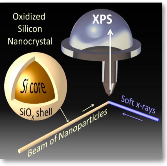Études de réactivité environnementale : analyse physico-chimique en phase gazeuse  de nanoparticules isolées