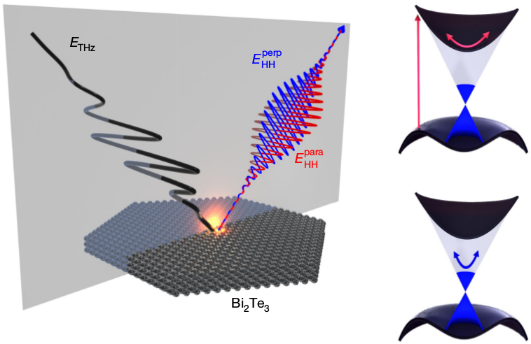 Ultrafast dynamics of topological surface states under strong-field control