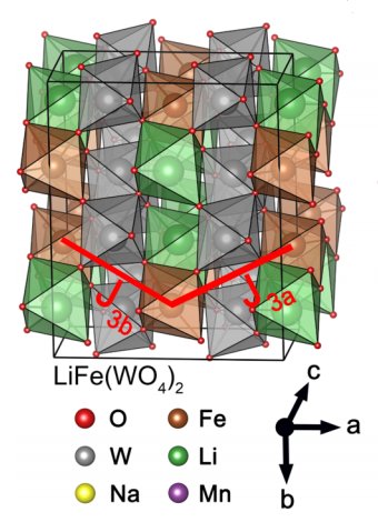 Single-crystal investigations on the multiferroic material LiFe(WO4)2