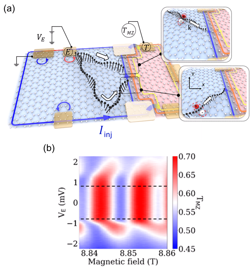 Observing the electric dipole of spin waves in a quantum magnet 