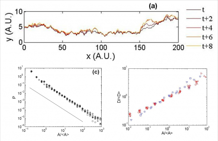 Universal behavior of the dynamics of slow crack growth