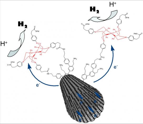 Nanosciences et chimie bio-inspirée : un nouveau pas vers la production d\'’hydrogène sans platine