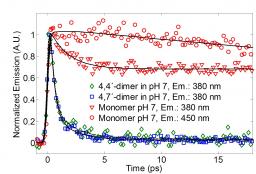 L\'Etude par spectroscopie de fluorescence femtoseconde du mécanisme de photoprotection de l\'eumélanine