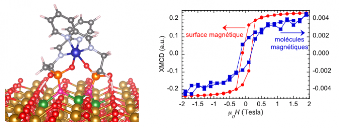 Bistabilité magnétique de molécules individuelles sur surface ferrimagnétique
