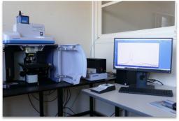Spectroscopie / spectrométrie infra-rouge et Raman (LEDNA)