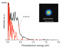 Spectroscopy and Photoinduced reactivity of isolated molecules