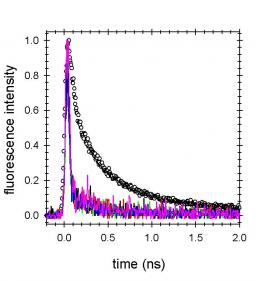 UVB/UVC induced processes in model DNA helices studied by time-resolved spectroscopy: pitfalls and tricks