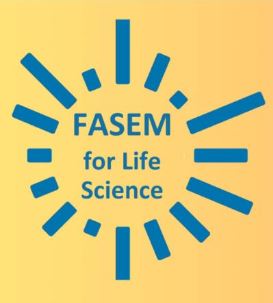 Report : French-Swedish Academy for Scattering Experiments and Modeling (FASEM) for Life Science