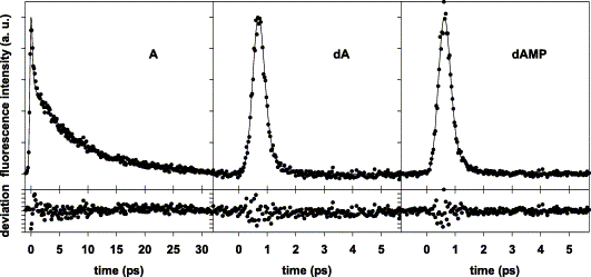Adenine, deoxyadenosine and deoxyadenosine 5'-monophosphate studied by femtosecond fluorescence upconversion spectroscopy