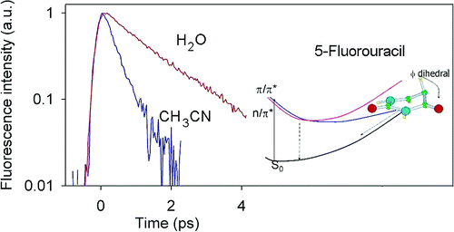 Solvent effect on the singlet excited state dynamics of 5-fluorouracil in acetonitrile as compared to water