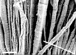 Brevet : Croissance de Nanotubes de carbone sur des substrats de carbone  ou métalliques
