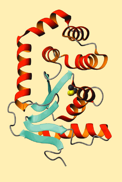 Synergy btetween experiment and theory for the simulation of protein folding