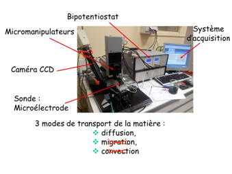 Advanced Electrochemical Microscopy (SECM)