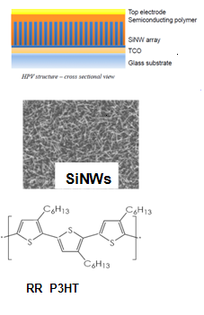 Cellules photovoltaïques hybrides SiNWs/polymère
