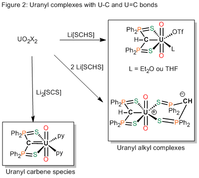 Nucleophilic carbene complexes of Uranium(IV) and (VI)
