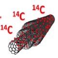 La biodistribution des nanotubes de carbone dans l’organisme