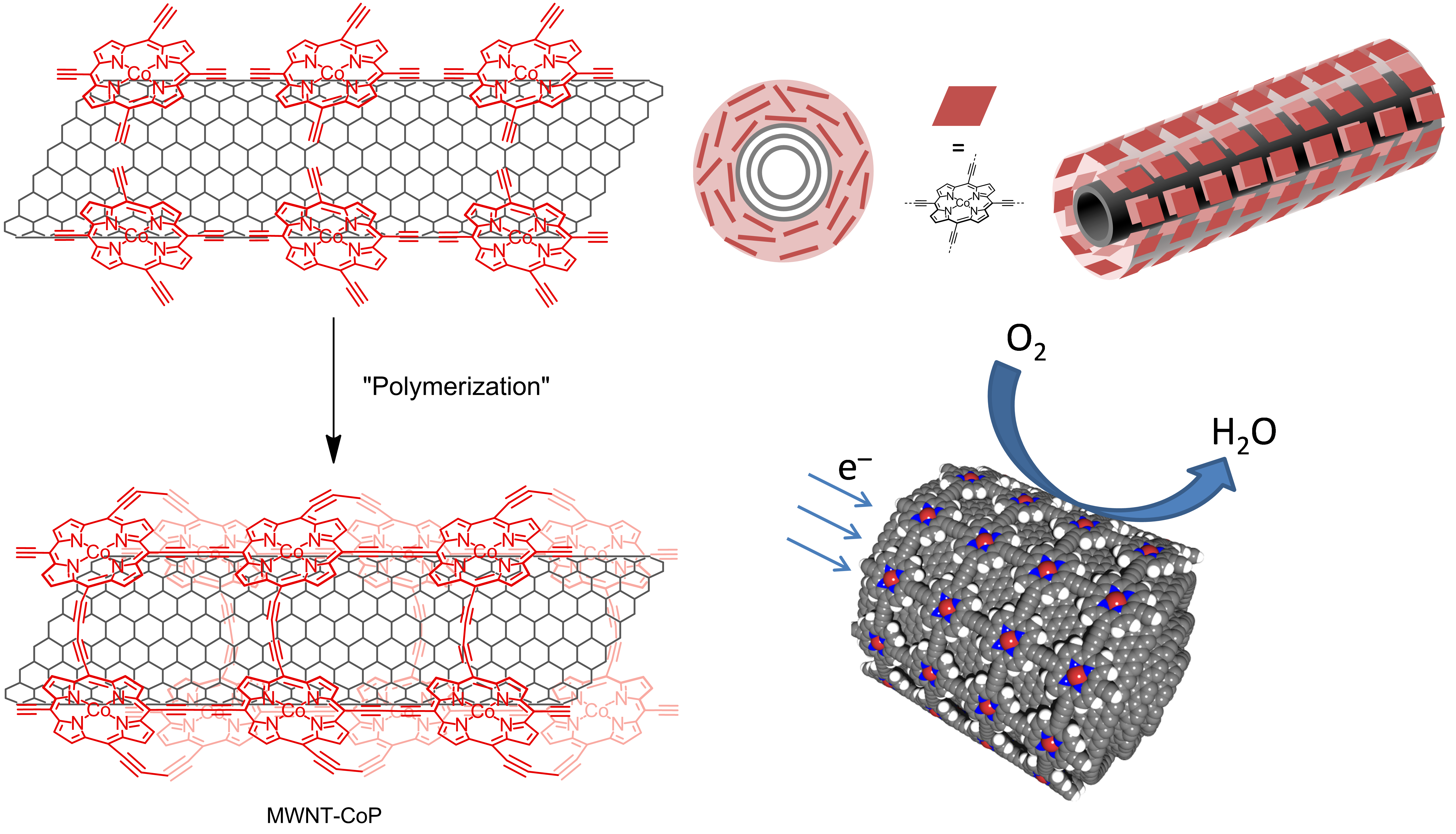 Carbon nanotubes and graphene functionalization