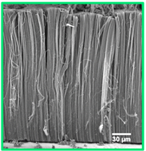 Synthèse en une seule étape de tapis de nanotubes de carbone verticalement alignés sur feuilles d’aluminium