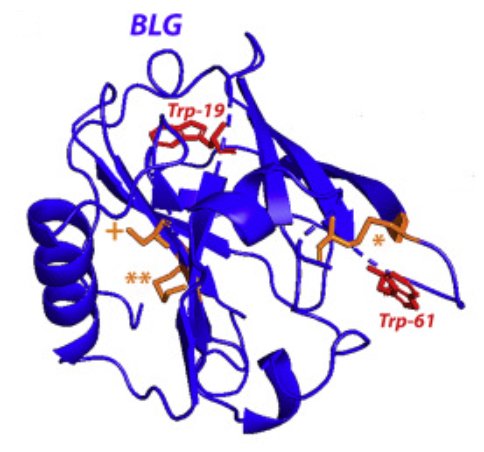 Structure of proteins under pressure: Covalent binding effects of biliverdin on β-lactoglobulin