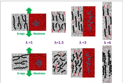 In Situ SAXS and SANS Monitoring of Both Nanofillers and Polymer Chain Microstructure under Uniaxial Stretching in a Nanocomposite with a Controlled Anisotropic Structure