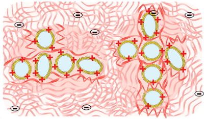 Hybrid systems combining liposomes and entangled hyaluronic acid chains: Influence of liposome surface and drug encapsulation on the microstructure