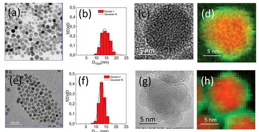 Elucidating Individual Magnetic Contributions in Bi-Magnetic Fe3O4/Mn3O4 Core/Shell Nanoparticles by Polarized Powder Neutron Diffraction