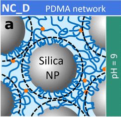 Double Networks: Hybrid Hydrogels with Clustered Silica