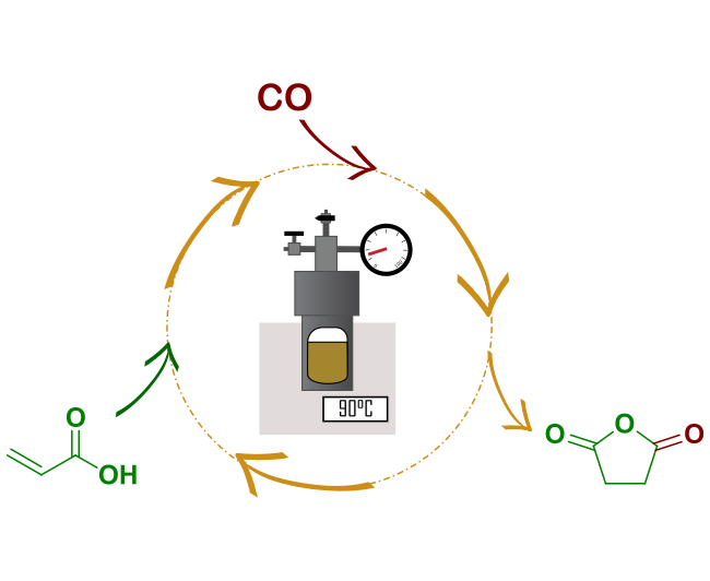 Réactions de carbonylation : nouveaux catalyseurs et nouvelles transformations