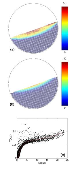 Granular surface flows: Investigation through numerical simulations
