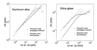 Anisotropy in the scaling properties of fracture surfaces: Experimental evidences of Family-Viseck scaling