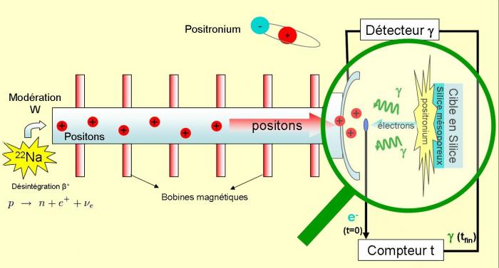Une production record de positronium, étape vers l'étude de la pesanteur de l'antimatière