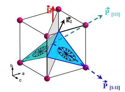 Coexistence of ferroelectricity and magnetism in the multiferroic compound BiFeO3