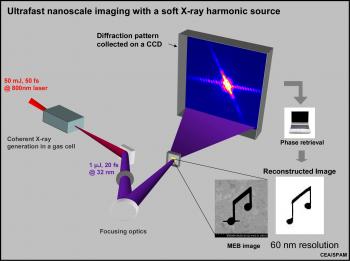 Ultrafast single shot nanoscale imaging with a soft X-ray harmonic source