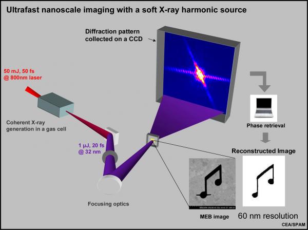Imagerie nanométrique monocoup avec une source harmonique de rayons X mous 