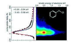 Femtosecond Dynamics of Isolated Phenylcarbenes