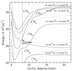 Reaction following the local excitation to Ca(4s3d 1D)