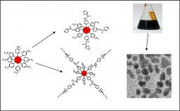 Nanocomposites based on functionalized nanoparticles