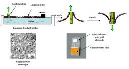 Nanocomposites based on functionalized nanoparticles