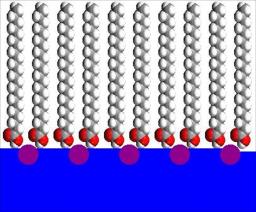 Diffraction de rayons X sous incidence rasante de monocouches à l\'interface eau-air : vers la résolution atomique