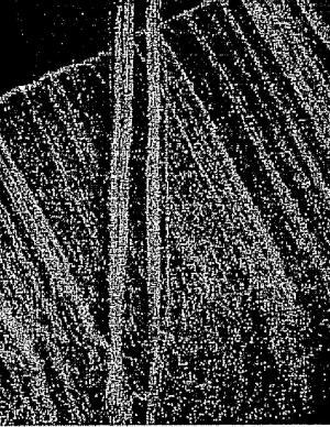 Brevet : Procédé et dispositif de dépôt par pyrolyse de nanotubes de carbone ou de nanotubes de carbone dopés à l\'azote / Method and device for depositing carbon nanotubes or nitrogen-doped carbon nanotubes by means of pyrolysis