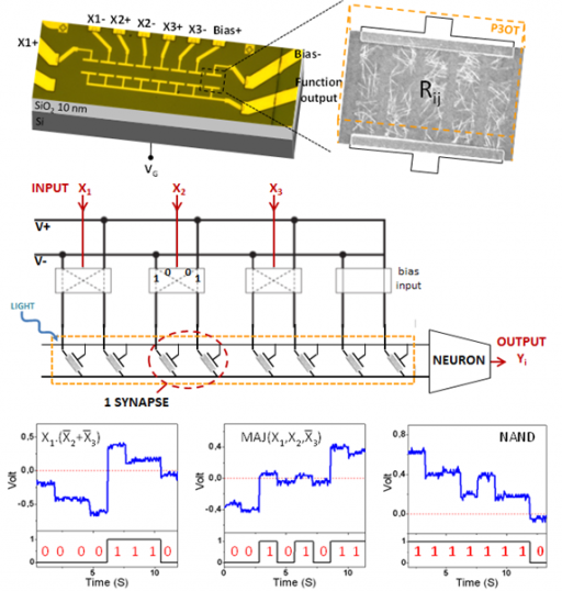 Memory nano-devices and circuits
