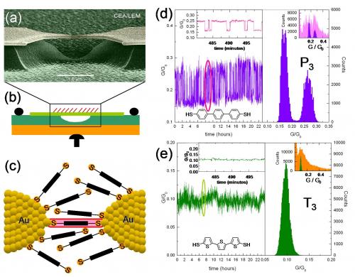 Statistical study of the conductance of molecular junctions reveals the role of the interfaces
