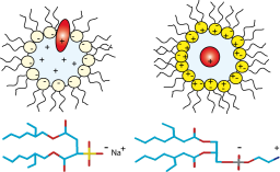NMR : Novel zwitterionic reverse micelles for encapsulation of proteins in low-viscosity media