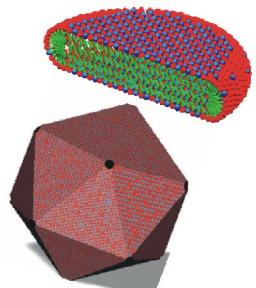 Molecular assembly and nanostructured materials