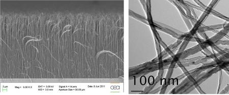 Vertically aligned carbon nanotubes carpets over large surfaces