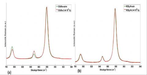 Study of CaMoO4 rich model ceramics for the containment of high activity nuclear waste 
