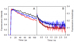 L'interaction médicament-protéine étudié par spectroscopie de fluorescence résolue en temps