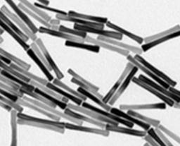 Matériaux à base de nanofils magnétiques pour aimants permanents renforcés